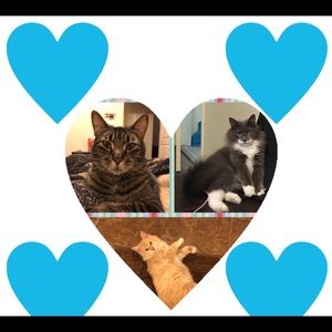 Meet your Posher, Linda